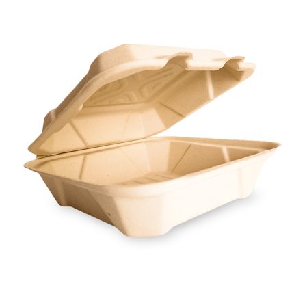 Contenedor almeja liso